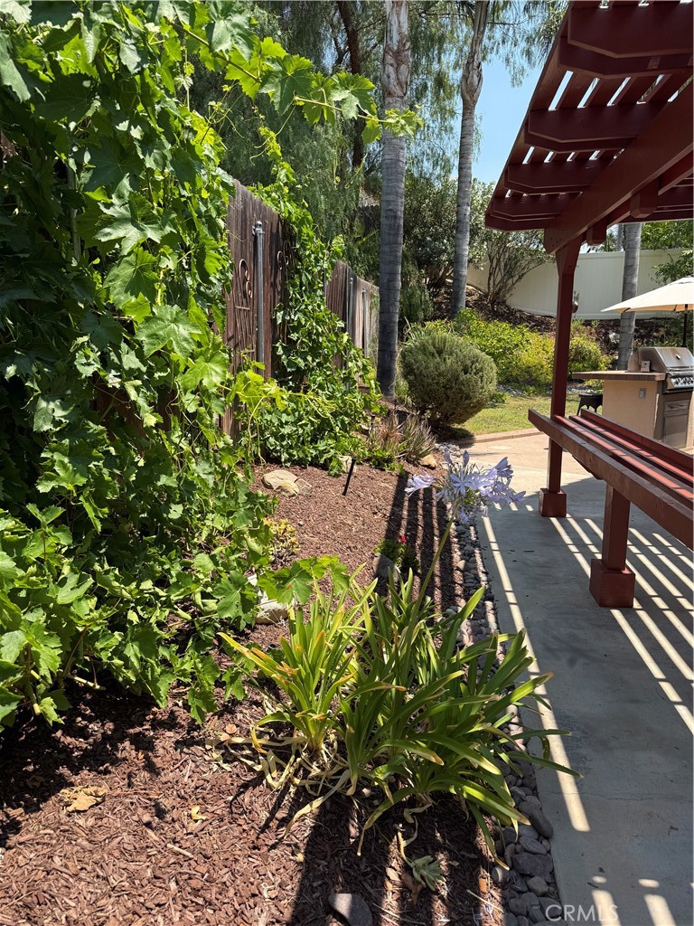 42086 42086 Paseo Brillante