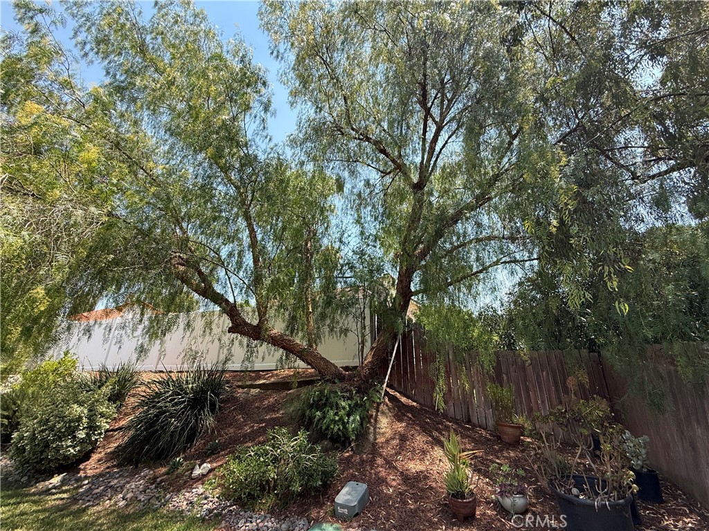 42086 42086 Paseo Brillante