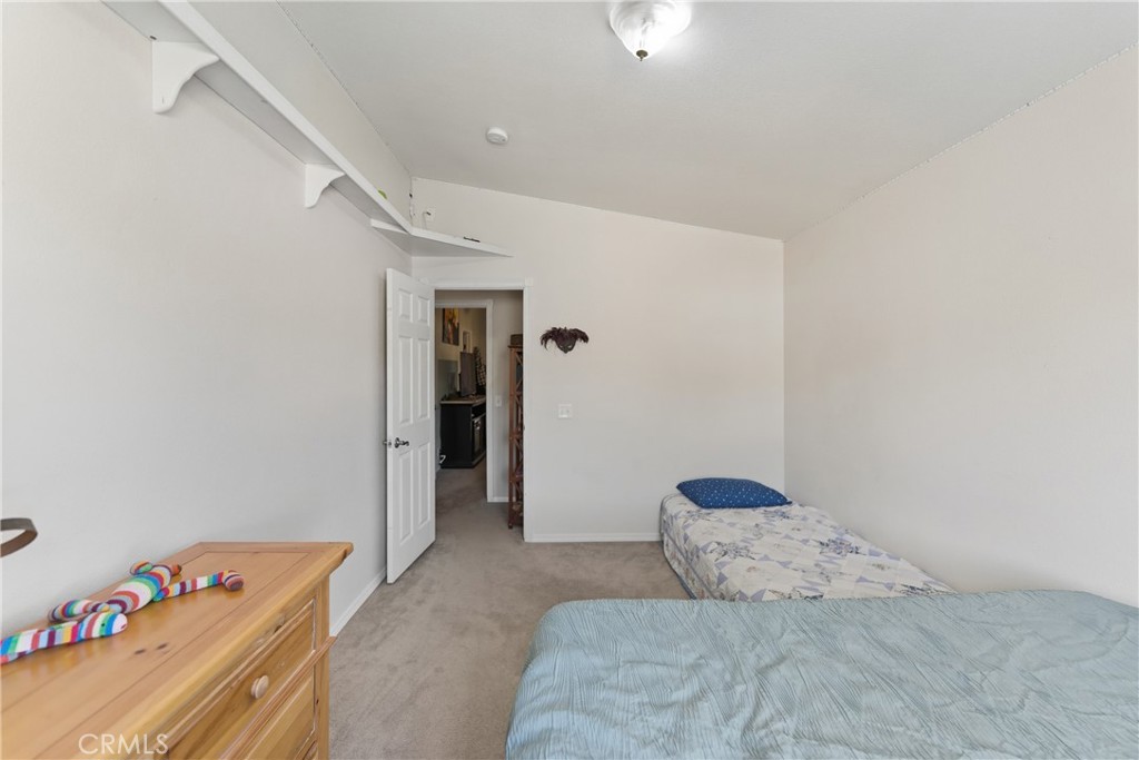 61455 Indian Paint Brush