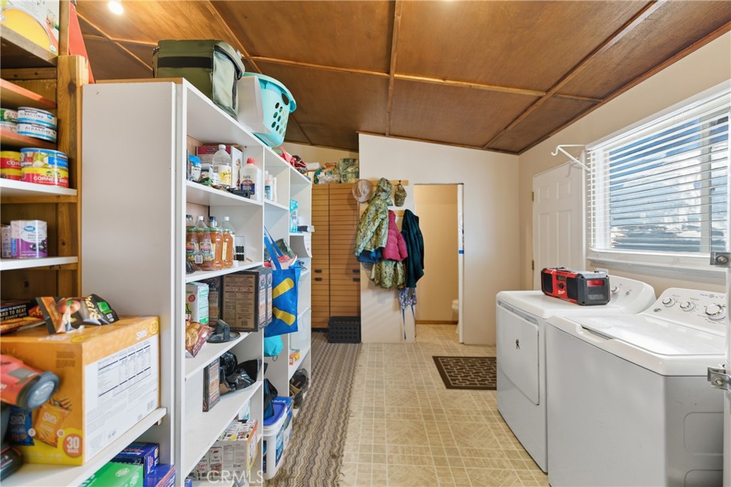 61455 Indian Paint Brush