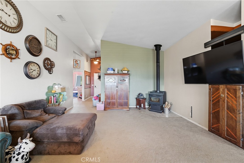 61455 Indian Paint Brush