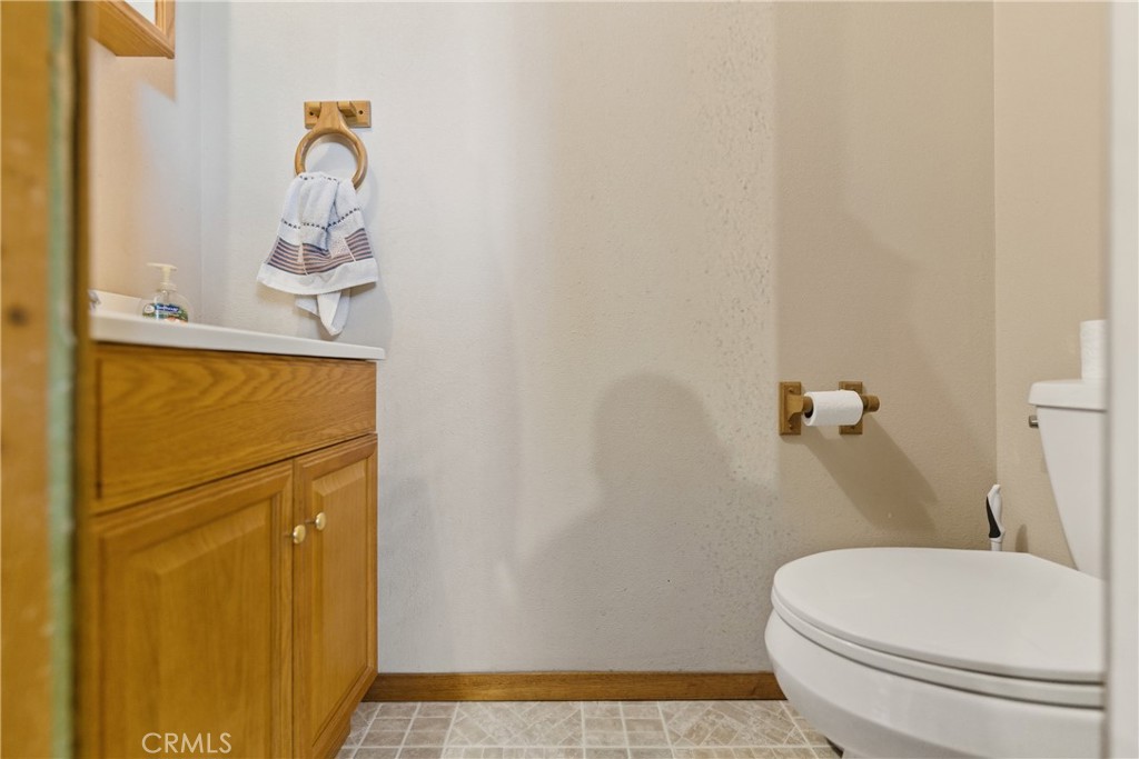 61455 Indian Paint Brush