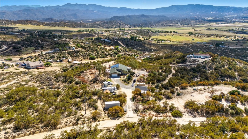 61455 Indian Paint Brush