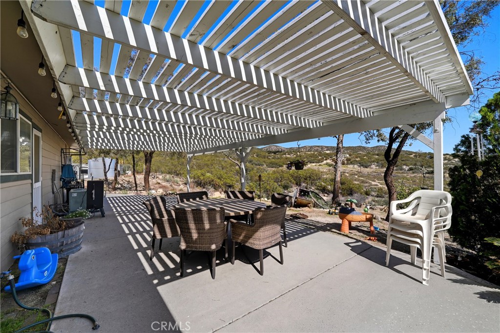 61455 Indian Paint Brush