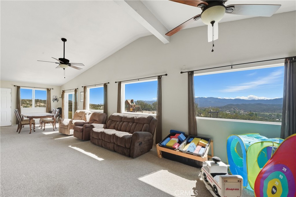 61455 Indian Paint Brush