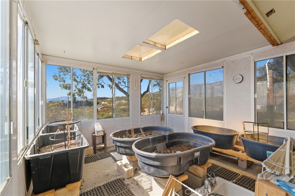 61455 Indian Paint Brush