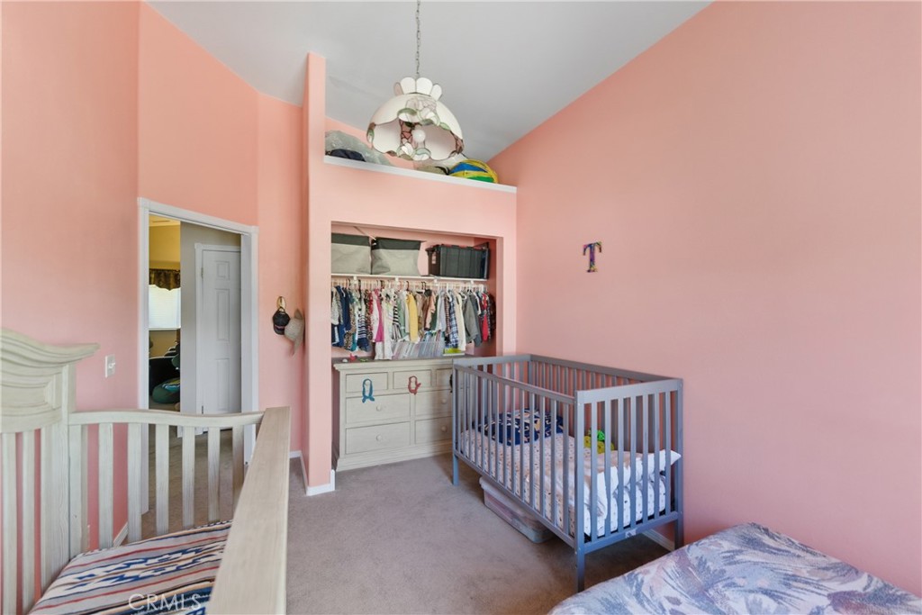 61455 Indian Paint Brush