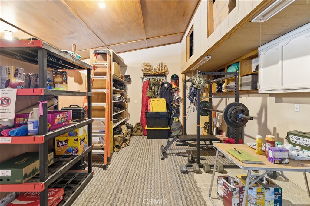 61455 Indian Paint Brush