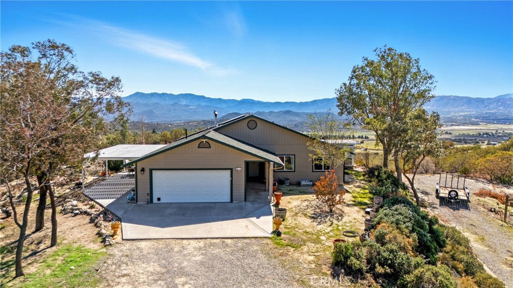 61455 Indian Paint Brush