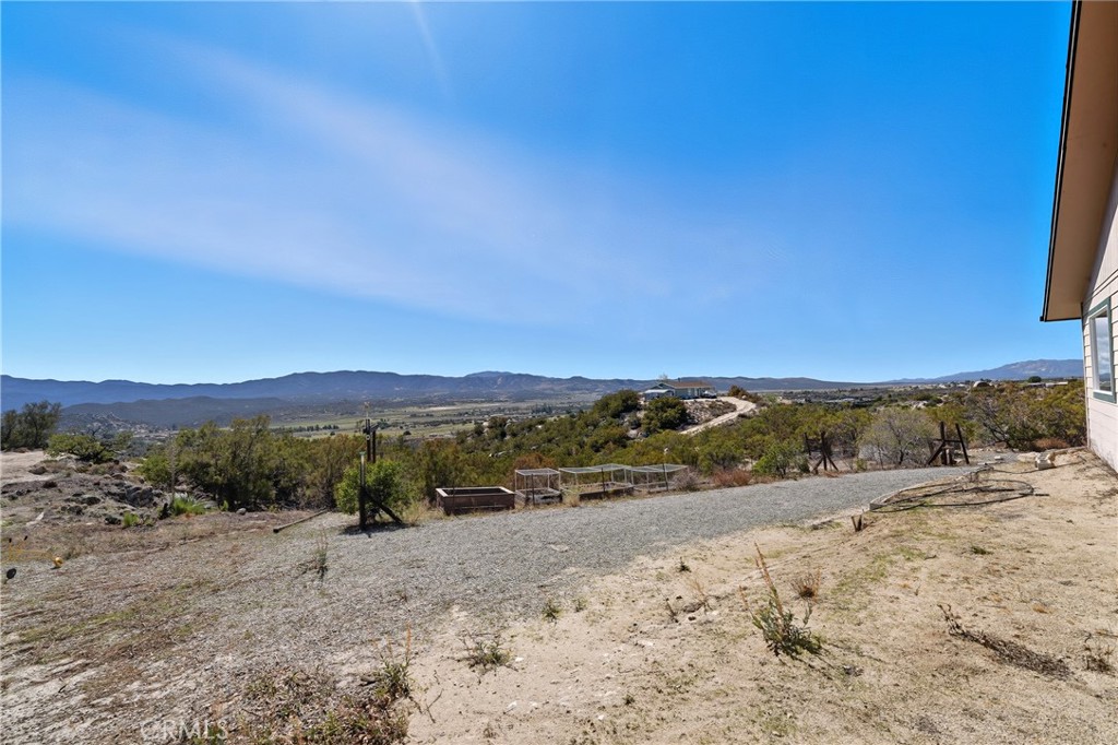 61455 Indian Paint Brush