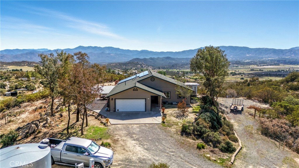 61455 Indian Paint Brush