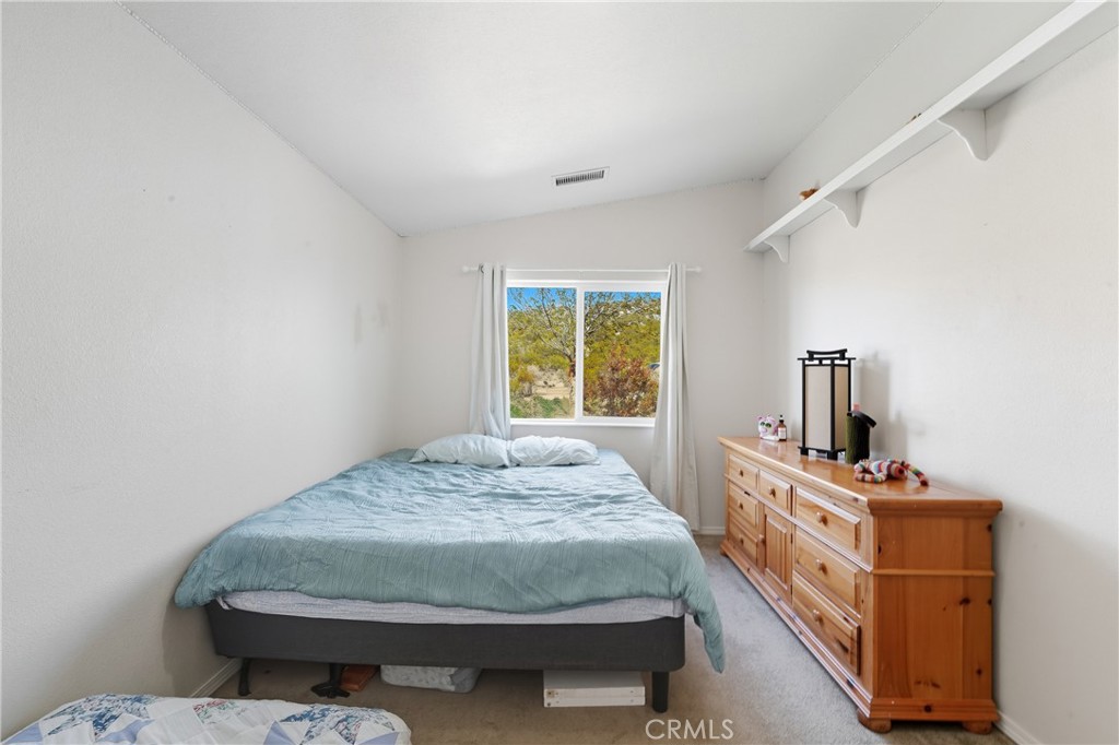 61455 Indian Paint Brush