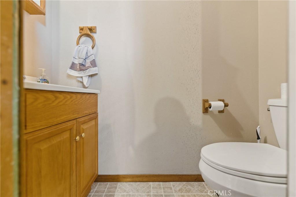 61455 Indian Paint Brush