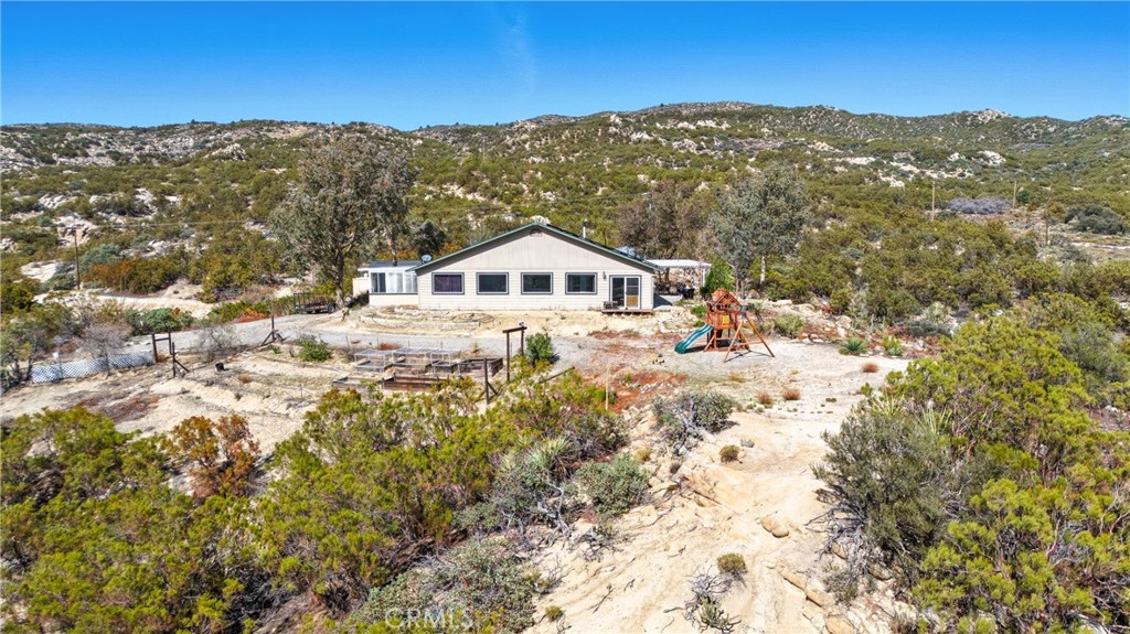 61455 Indian Paint Brush