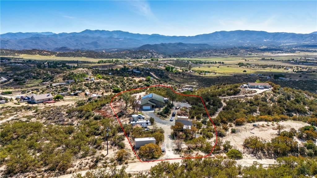 61455 Indian Paint Brush