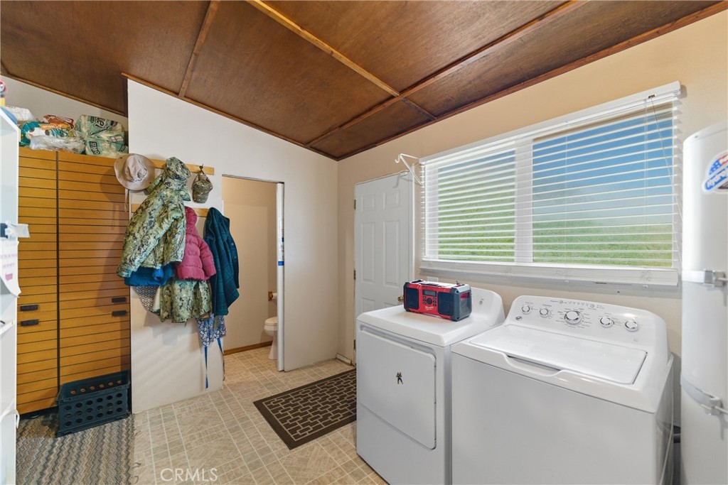 61455 Indian Paint Brush