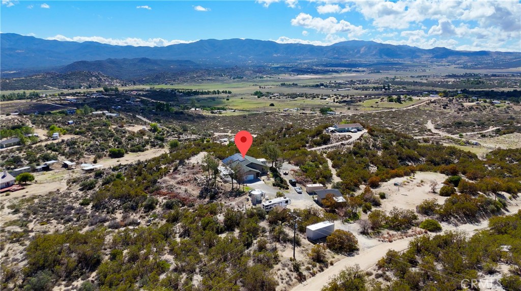 61455 Indian Paint Brush