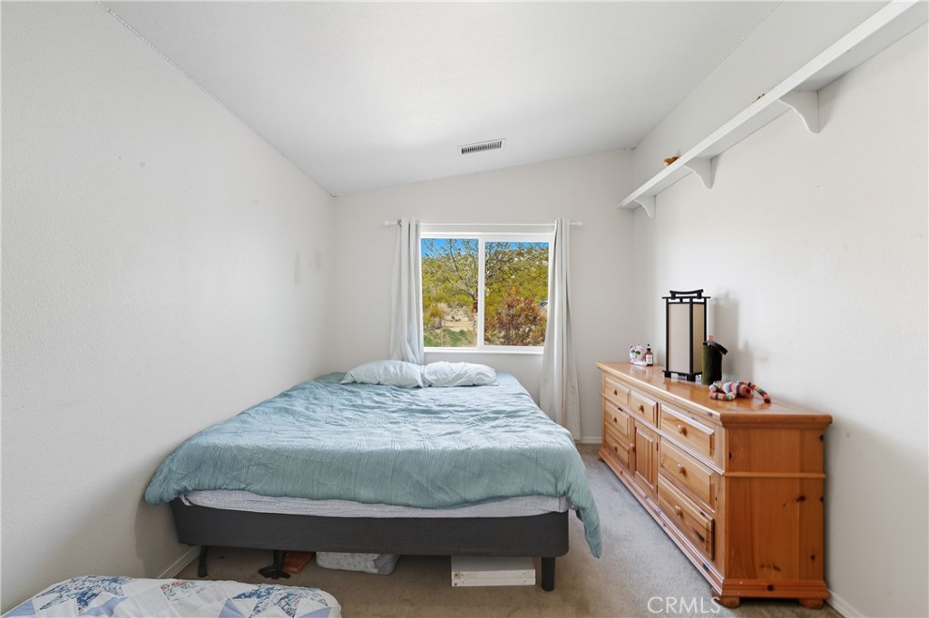 61455 Indian Paint Brush