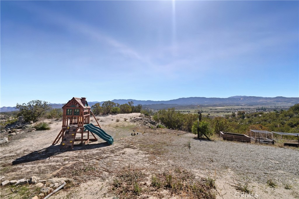 61455 Indian Paint Brush