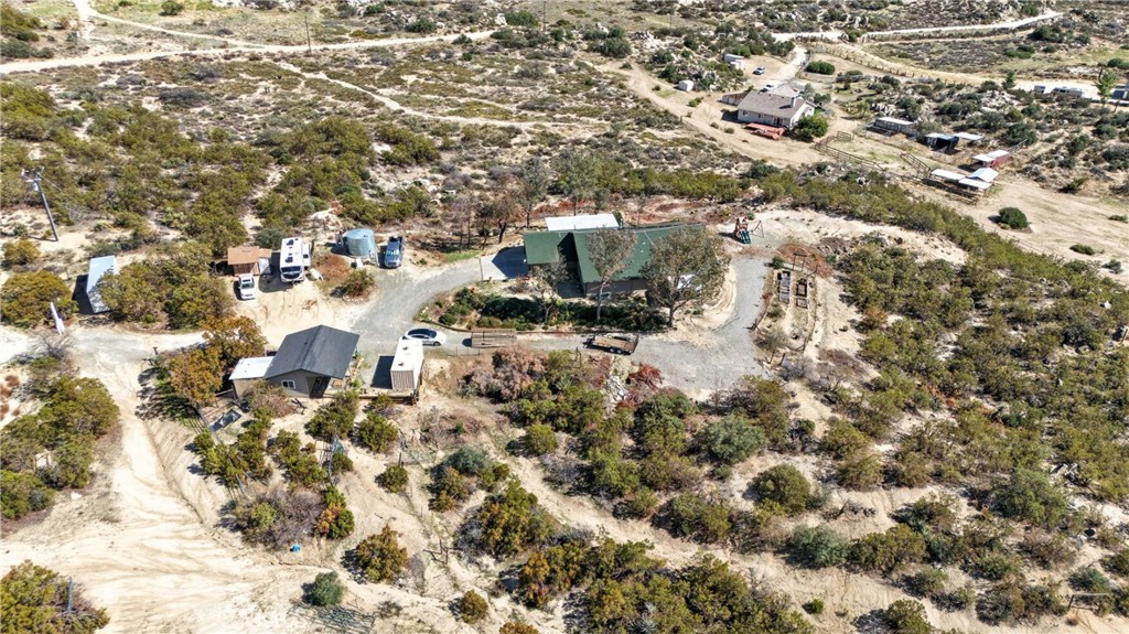 61455 Indian Paint Brush