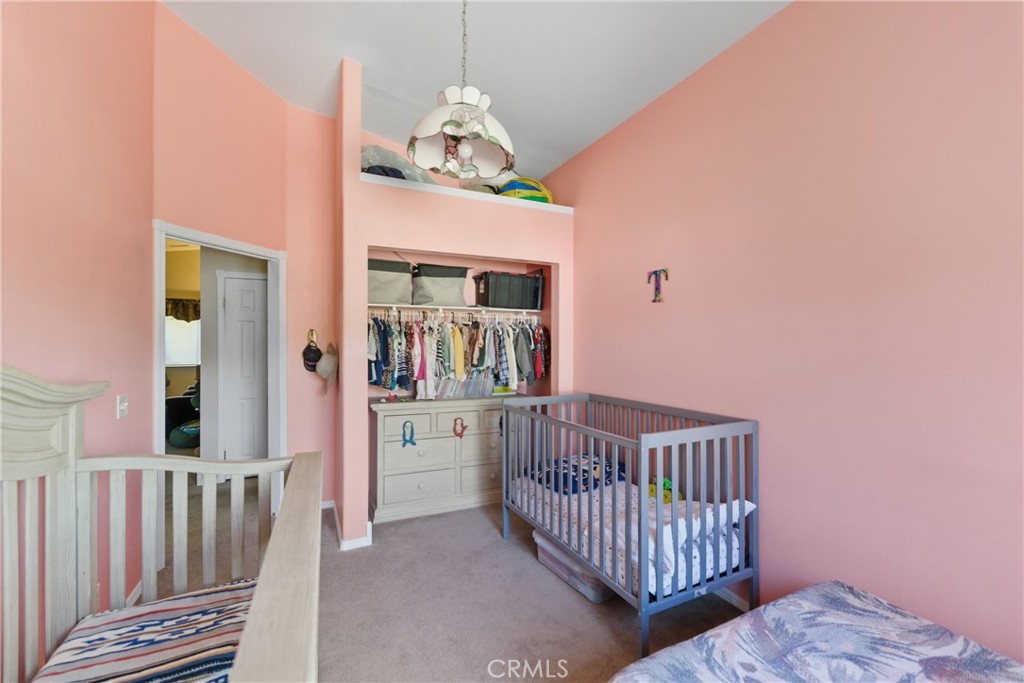 61455 Indian Paint Brush