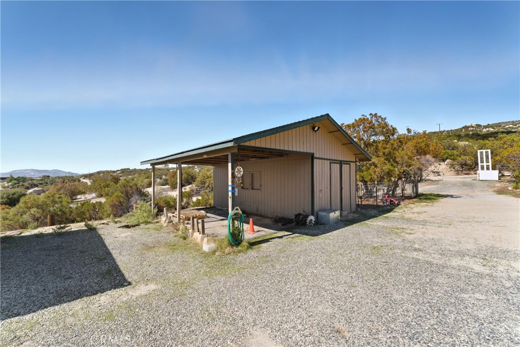 61455 Indian Paint Brush