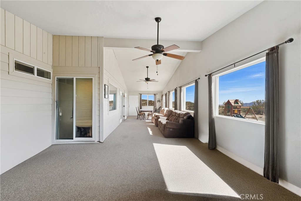 61455 Indian Paint Brush