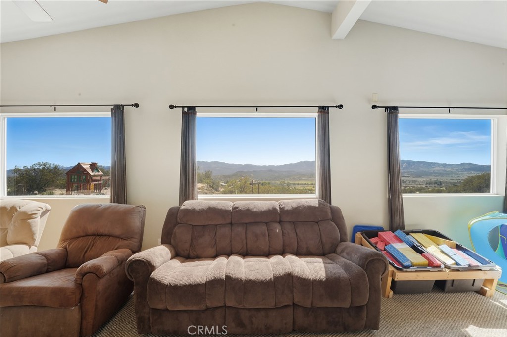 61455 Indian Paint Brush