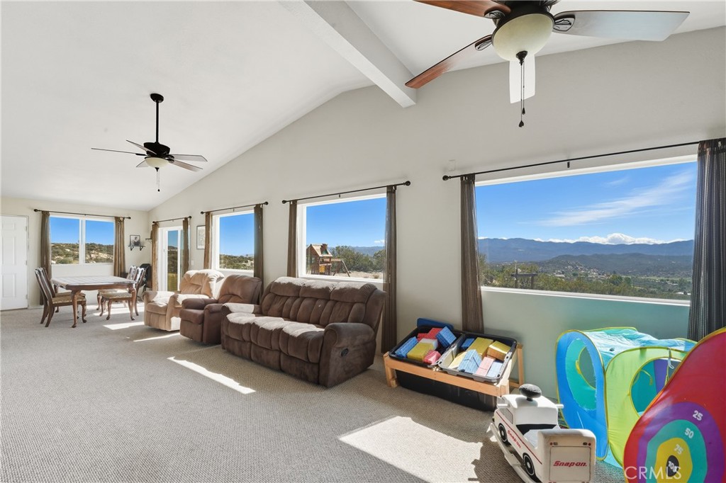 61455 Indian Paint Brush