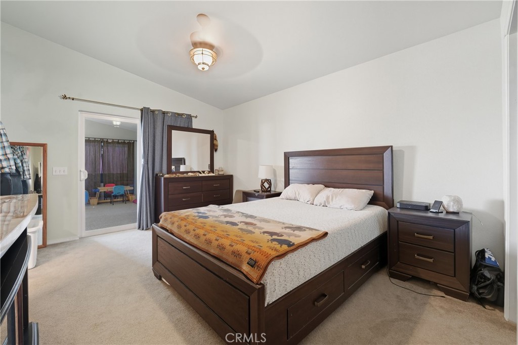 61455 Indian Paint Brush