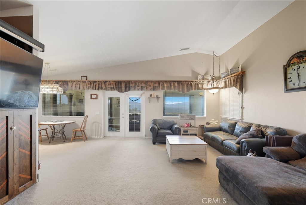 61455 Indian Paint Brush