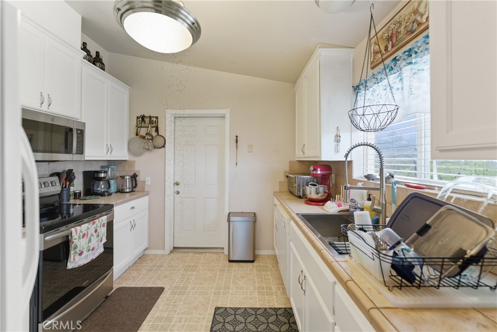 61455 Indian Paint Brush