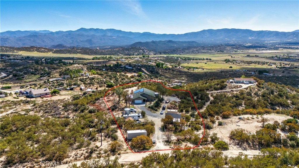 61455 Indian Paint Brush