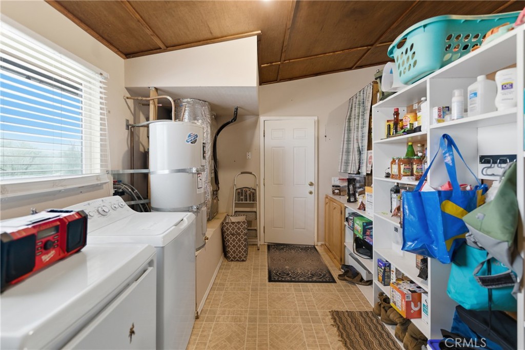 61455 Indian Paint Brush