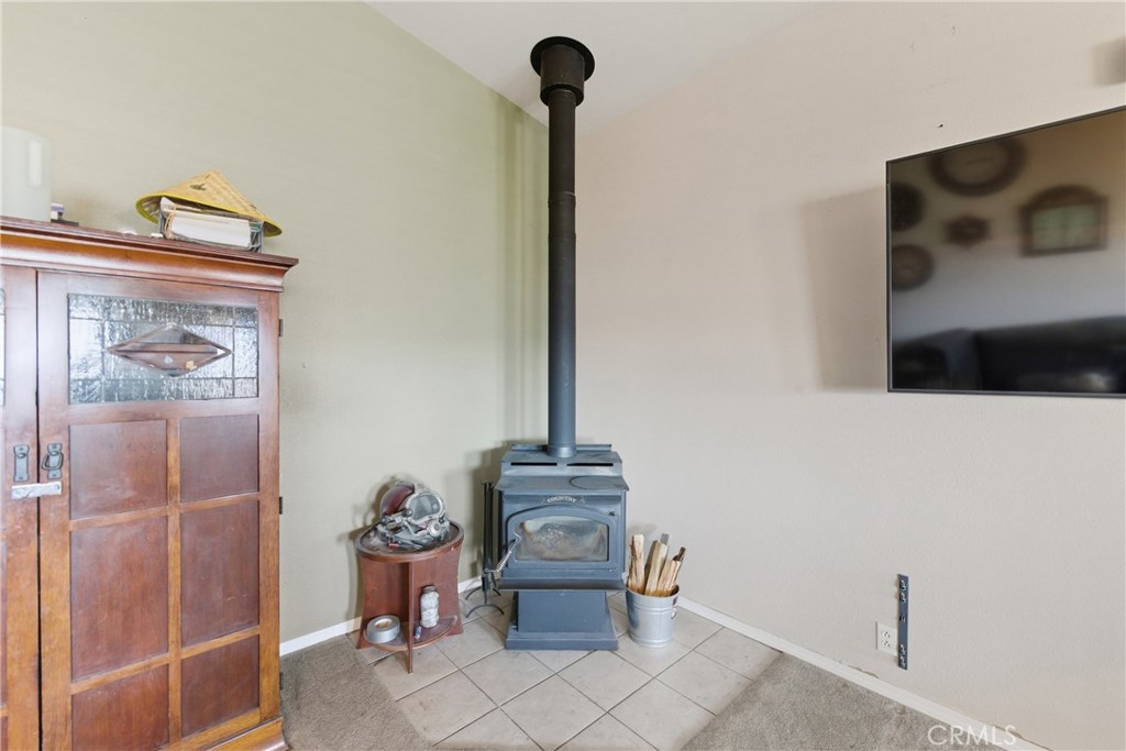 61455 Indian Paint Brush