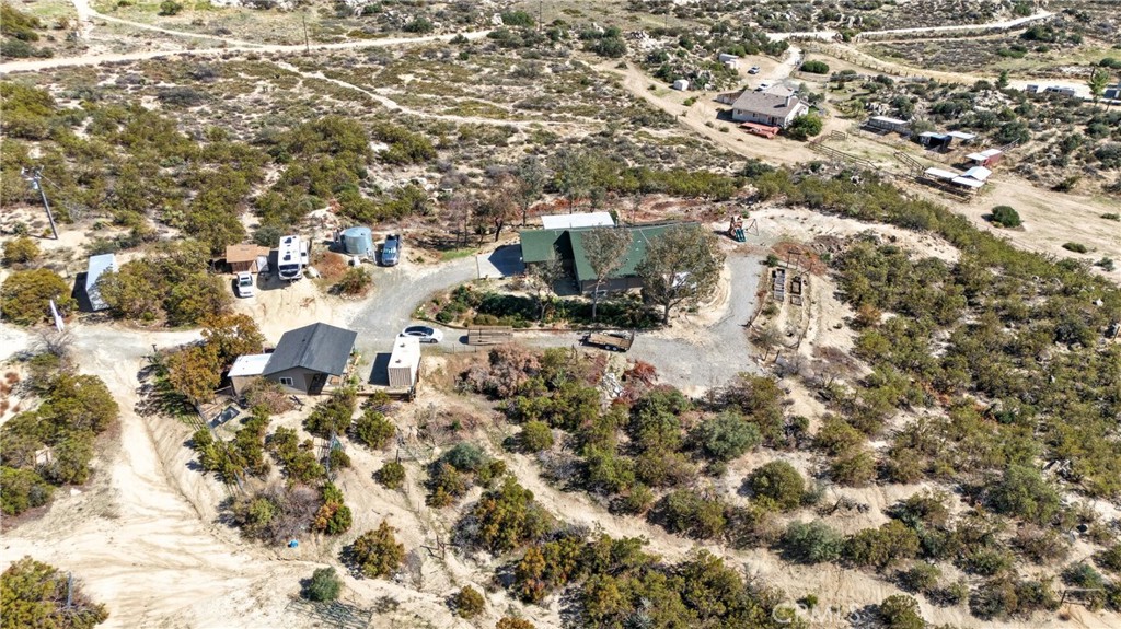 61455 Indian Paint Brush