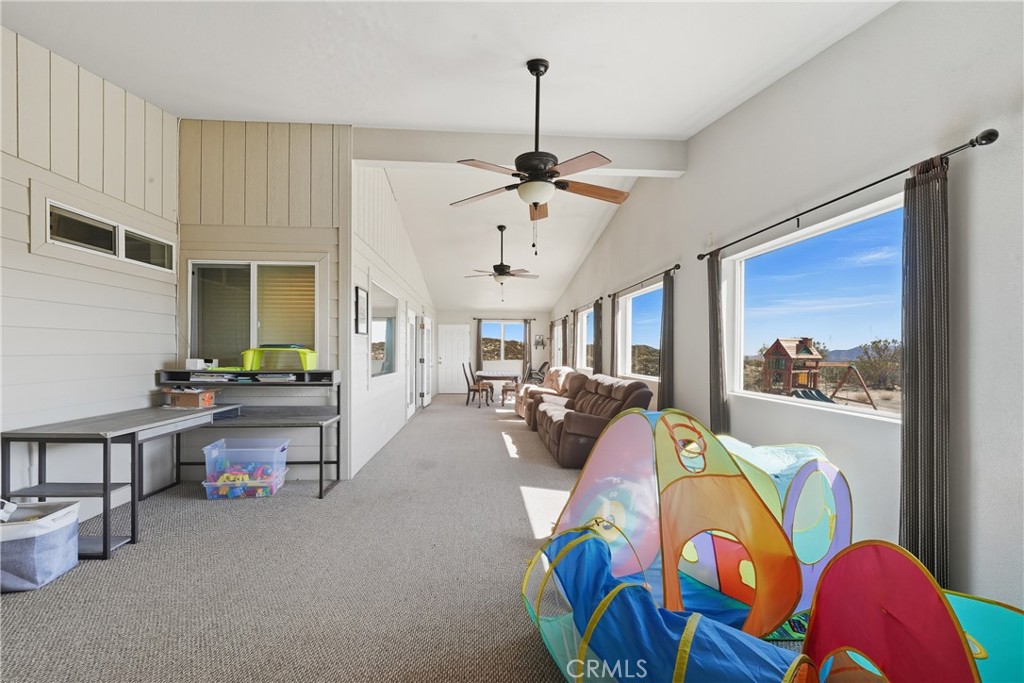 61455 Indian Paint Brush