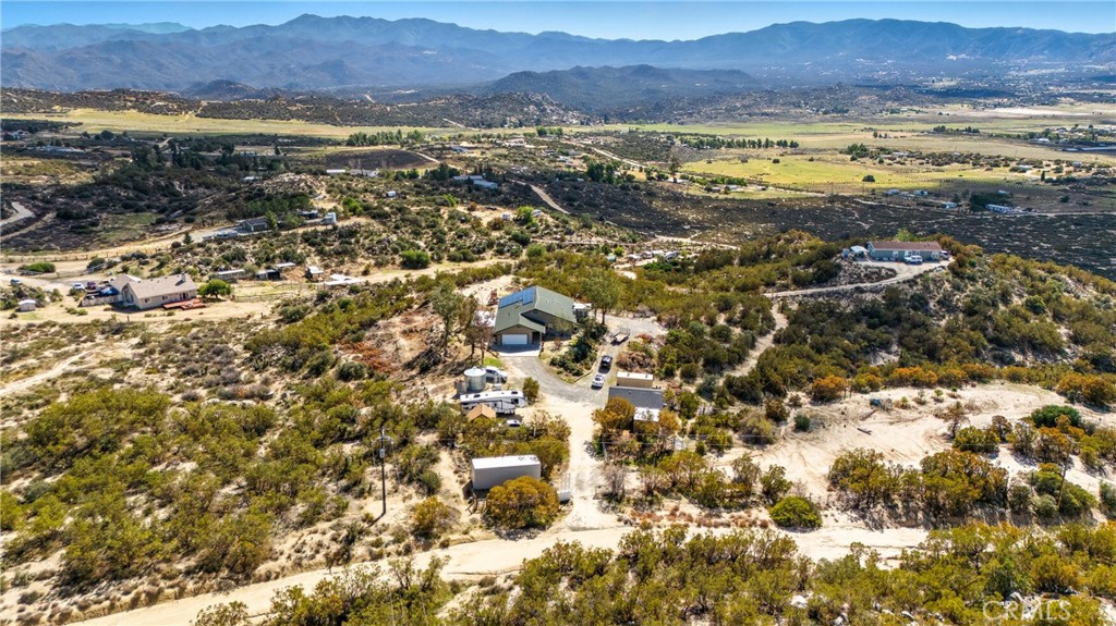 61455 Indian Paint Brush