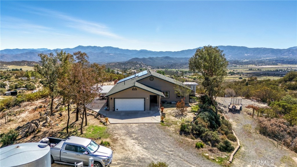 61455 Indian Paint Brush