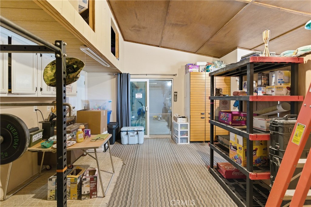 61455 Indian Paint Brush