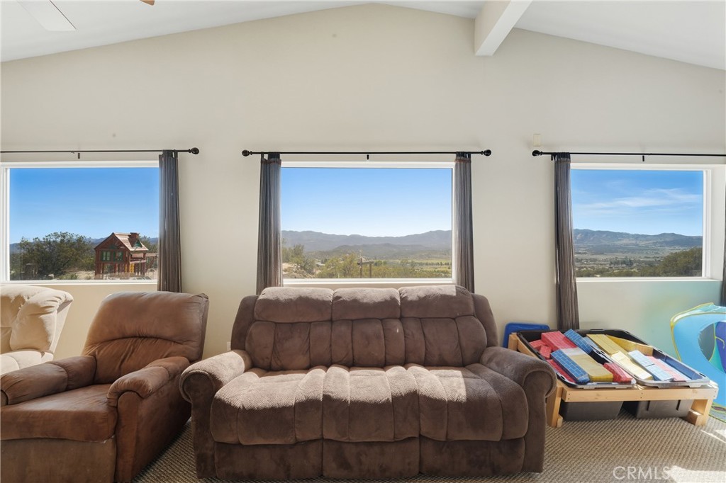 61455 Indian Paint Brush