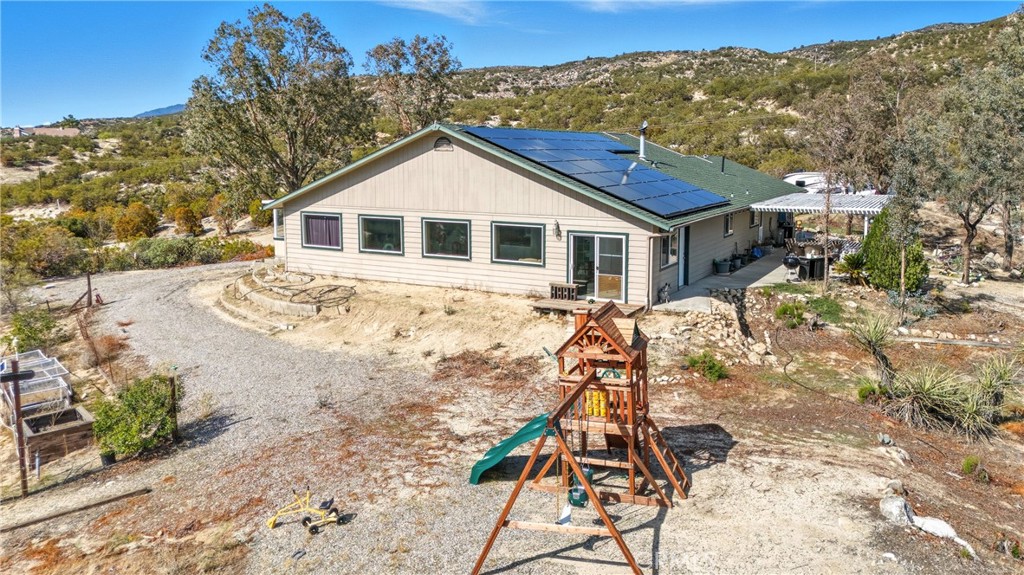 61455 Indian Paint Brush