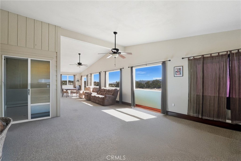 61455 Indian Paint Brush