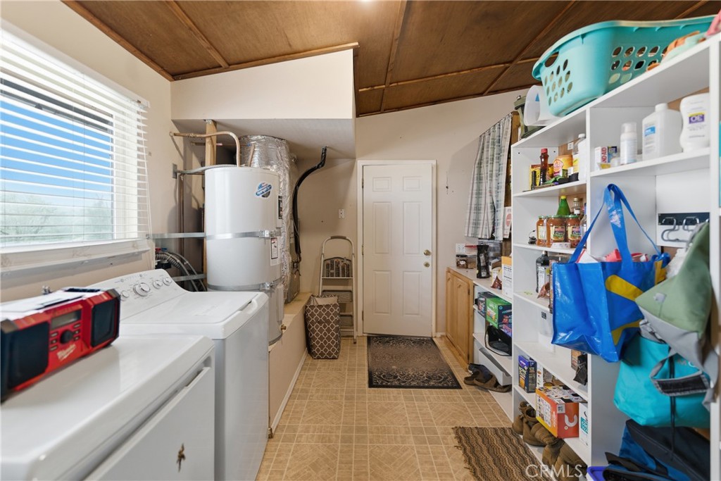 61455 Indian Paint Brush