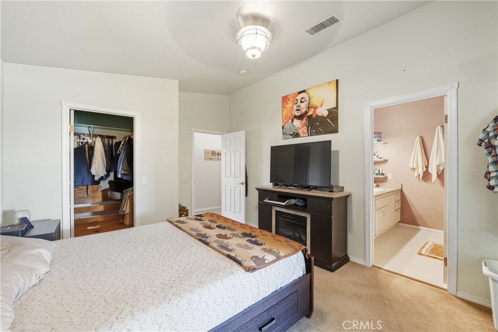 61455 Indian Paint Brush