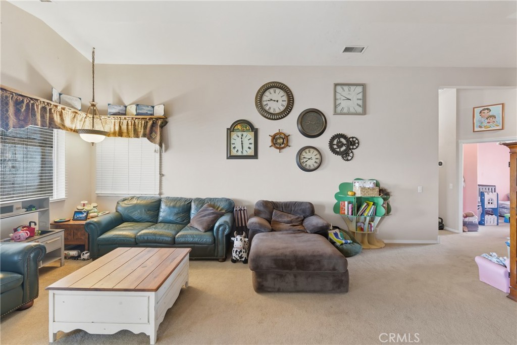 61455 Indian Paint Brush