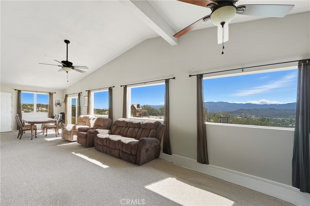 61455 Indian Paint Brush