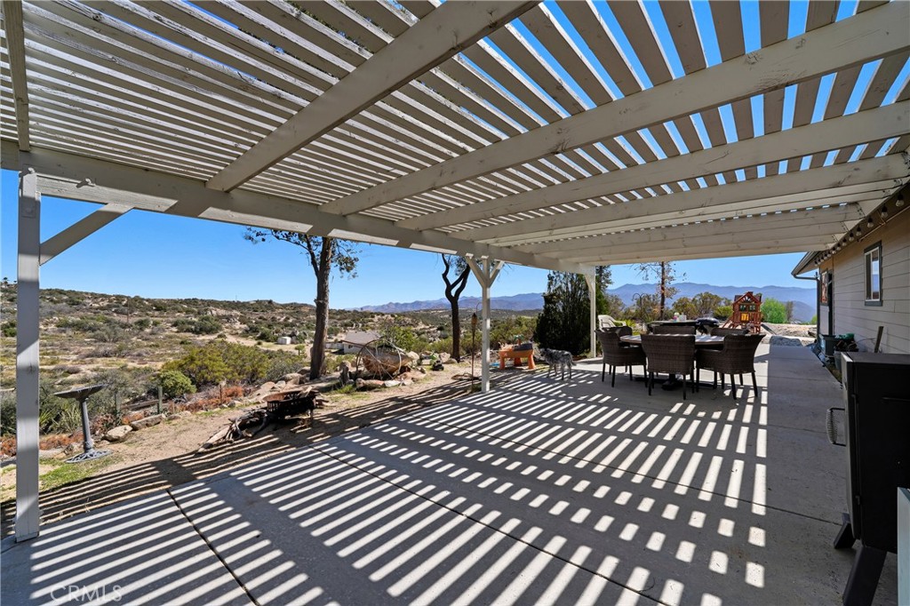 61455 Indian Paint Brush