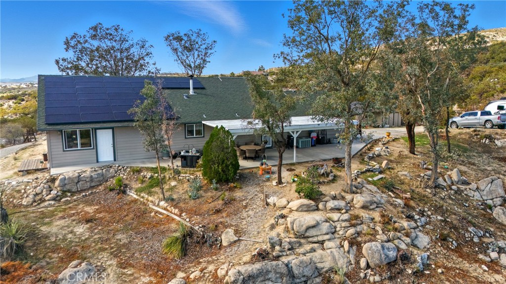 61455 Indian Paint Brush