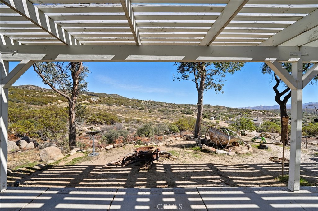 61455 Indian Paint Brush